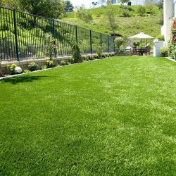 Artificial Turf Skyway Home Improvement